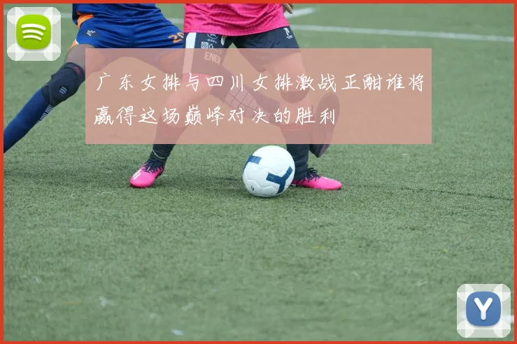 广东女排与四川女排激战正酣谁将赢得这场巅峰对决的胜利