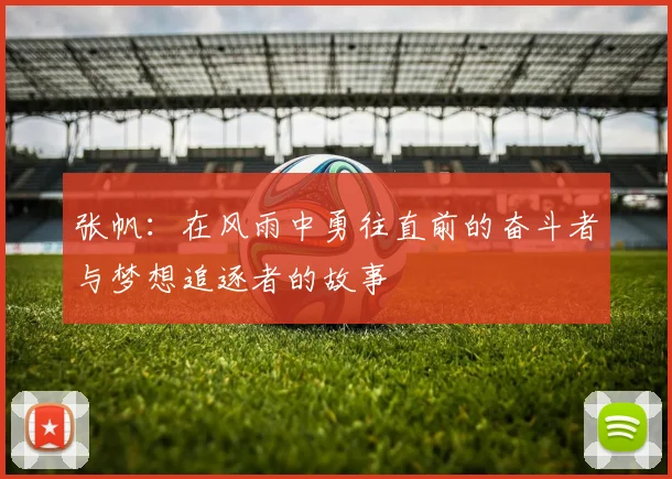 张帆：在风雨中勇往直前的奋斗者与梦想追逐者的故事